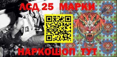 молекула духа Кулебаки