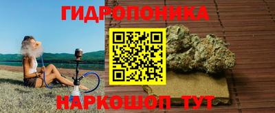 молекула духа Кулебаки