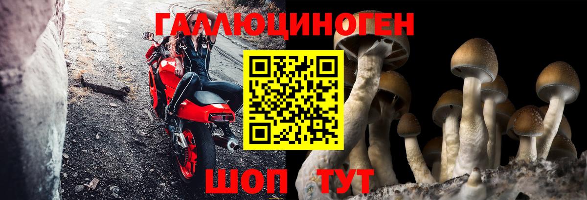 Армавир  Псилоцибиновые грибы мухоморы  Вход с VPN  Галлюциногенные грибы GOLDEN TEACHER 