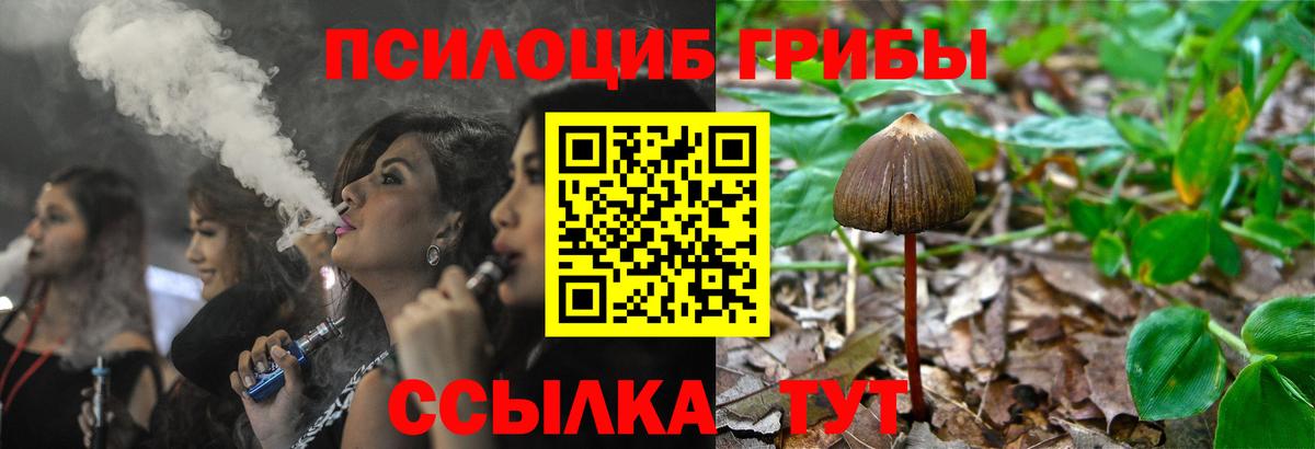 Псилоцибиновые грибы Magic Shrooms Армавир